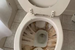 How Hard Water Impacts Your Home’s Toilet