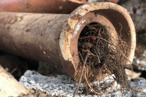 How Pipe Lining Can Help With Drain Blockages