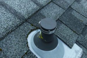 The Importance of Proper Plumbing Ventilation