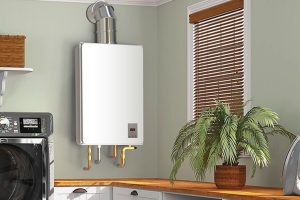 What to Do If Something Gets Accidentally Flushed Down the Toilet