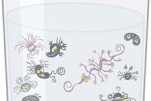 Common Water Issues and Solutions, Part 2